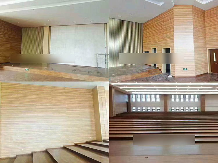 浙江杭州學(xué)院報告廳吸音工程